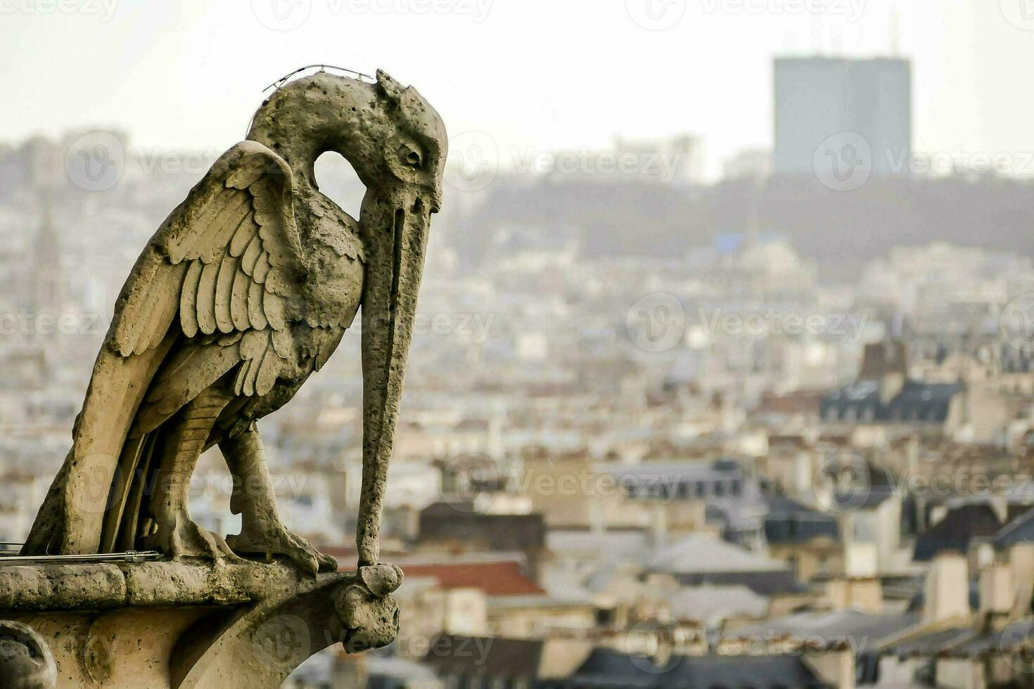 a bird statue on top of a building overlooking the city photo