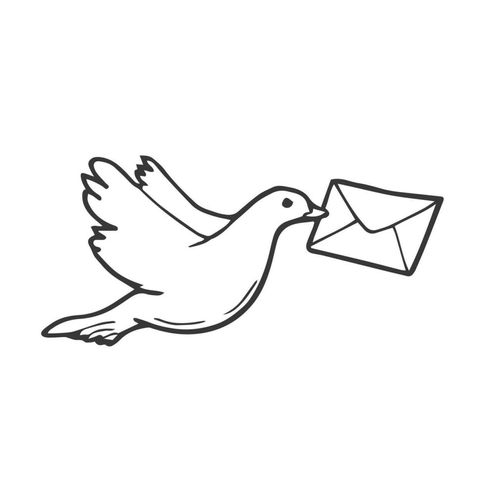 Doodle line drawing of a flying carrier pigeon carrying mail. vector