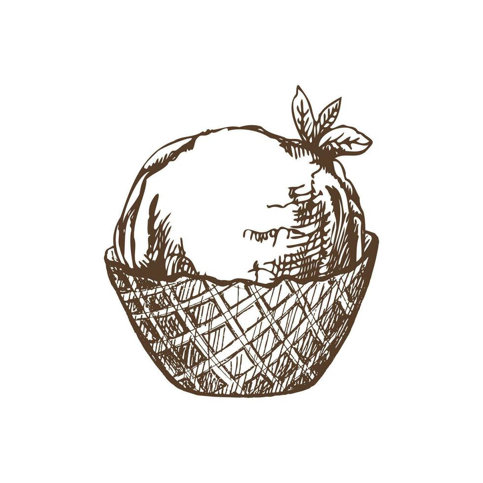 A hand-drawn sketch of a waffle basket with frozen yogurt or ice cream with mint leaves. Vintage illustration. Element for the design of labels, packaging and postcards. vector