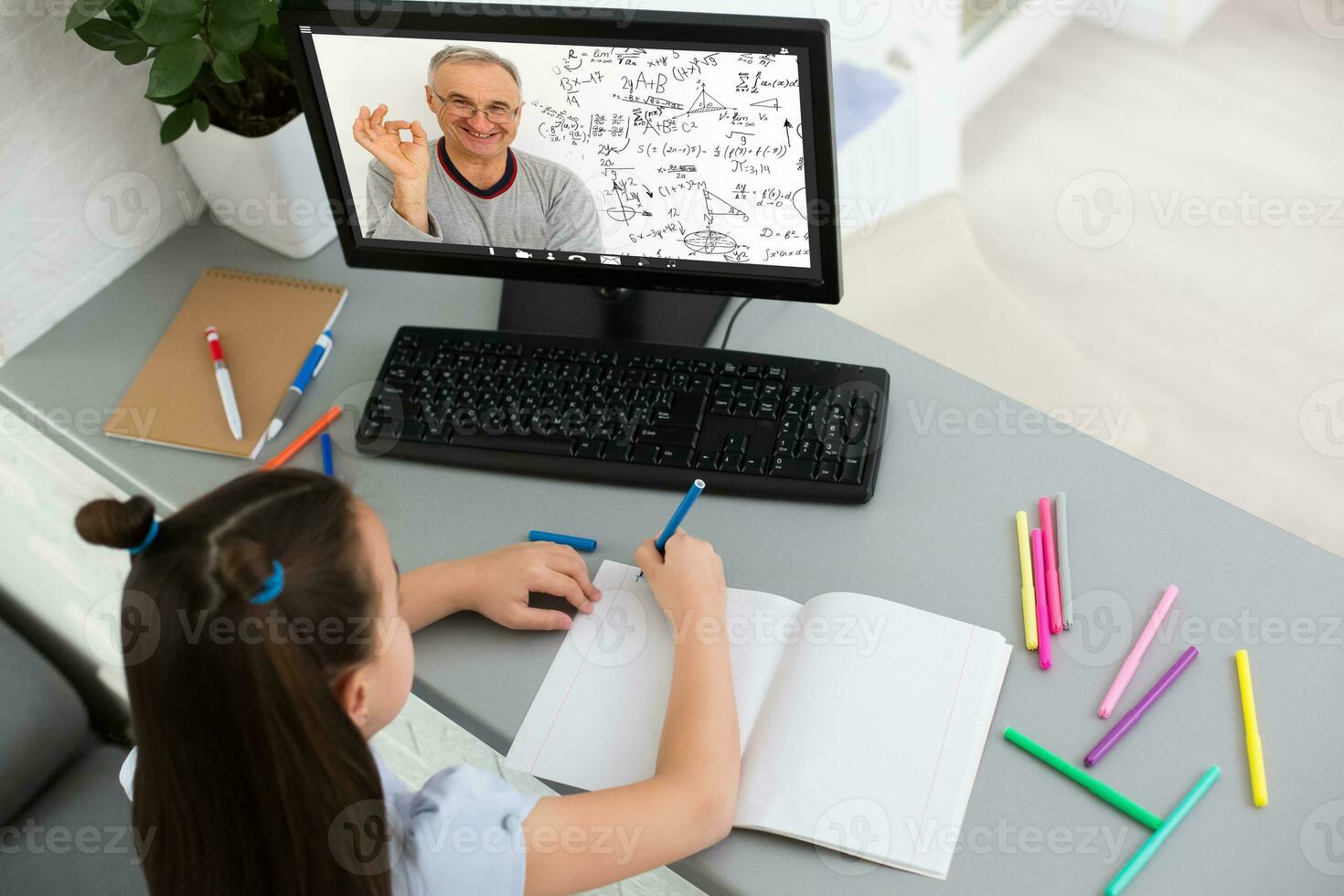Little Girl Using Computer Concept, distance online learning photo