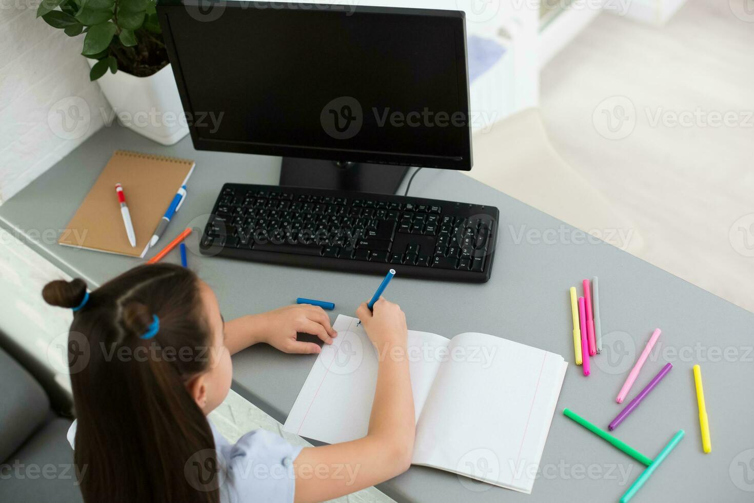 Little Girl Using Computer Concept, distance online learning photo