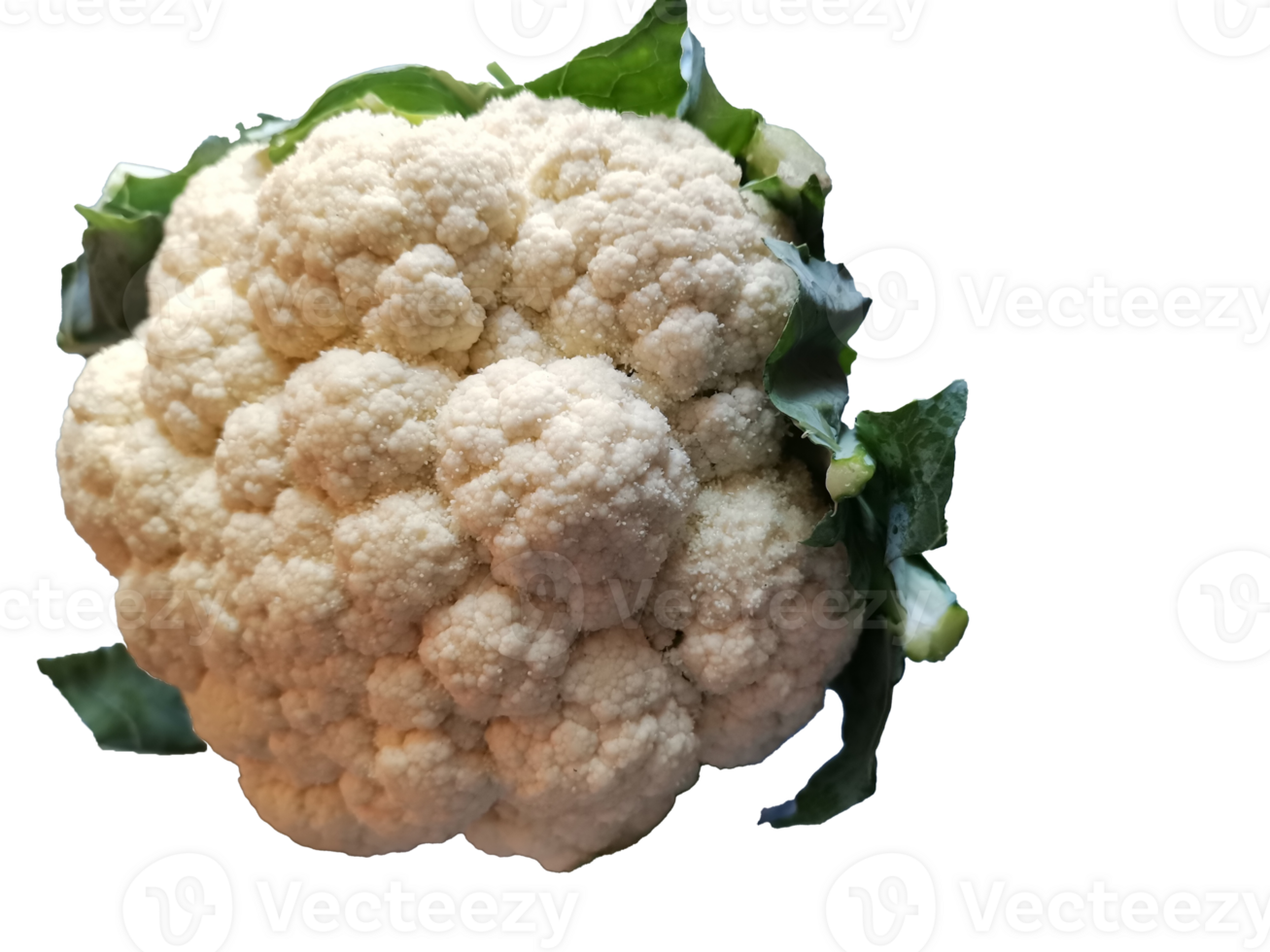 a fresh vegetable cauliflower fulkopi at home, a sturdy wooden countertop, its snow-white curds nestled within a canopy of leafy green stems png