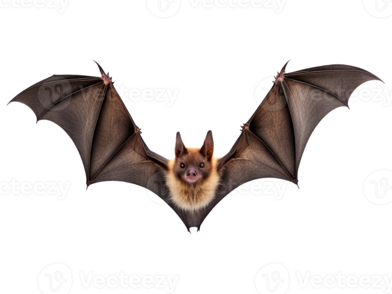 AI generated Flying Bat Isolated on Transparent Background png