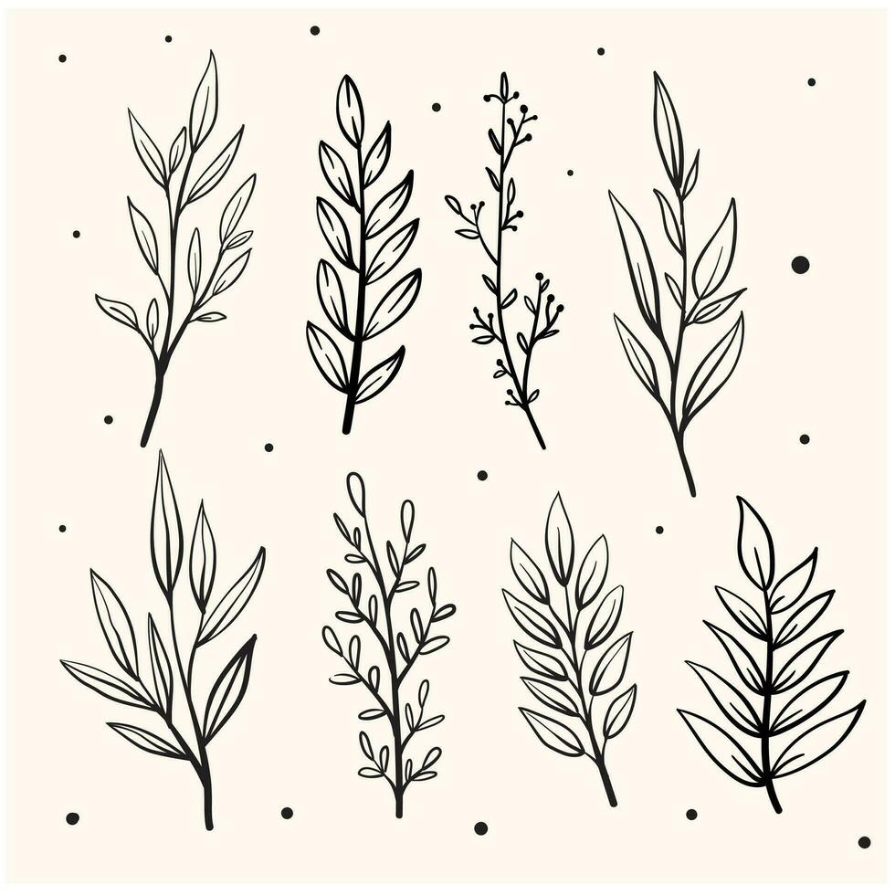 Doodle lineart of different tree leaves. background with cream color vector