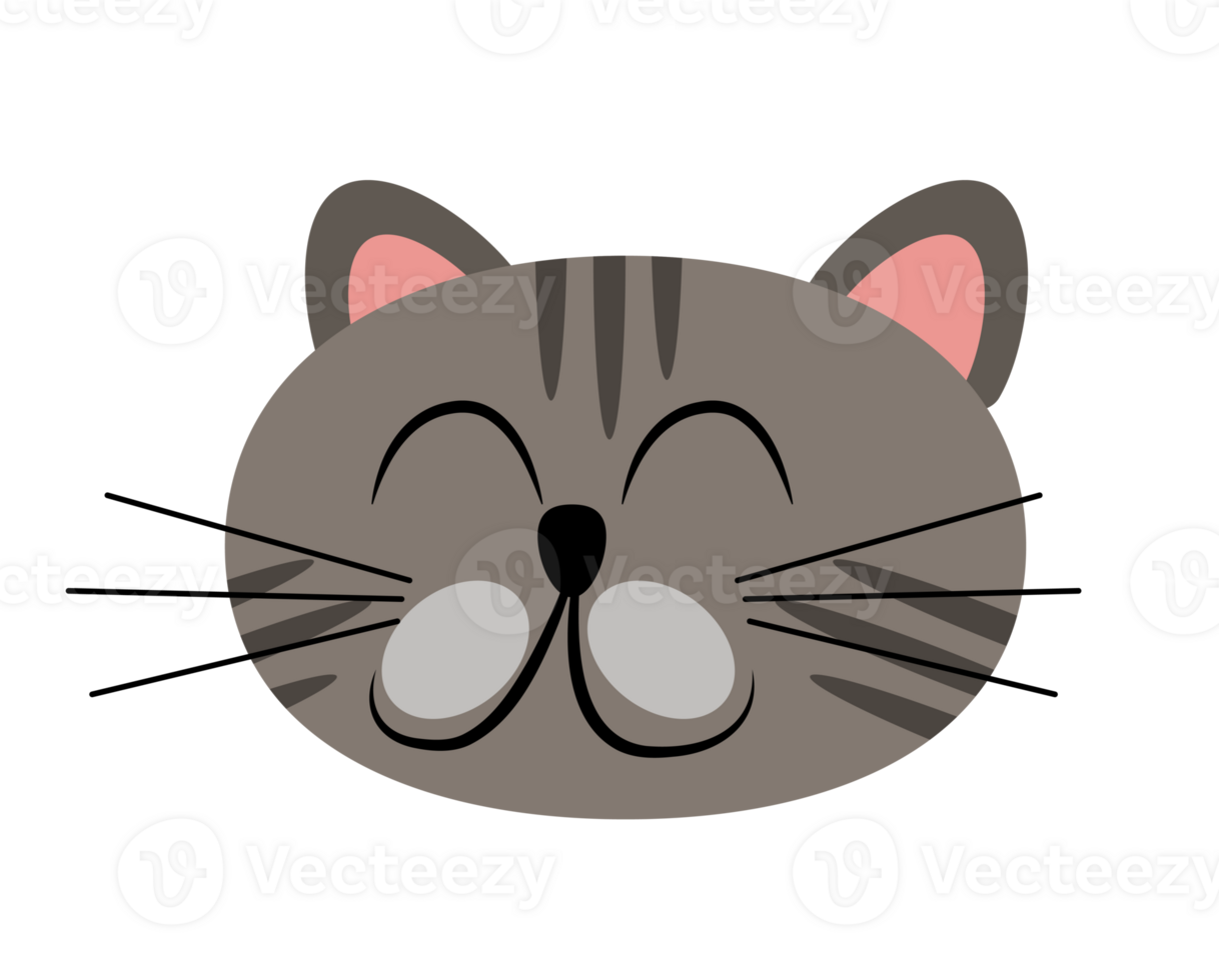 cute cat cartoon character png