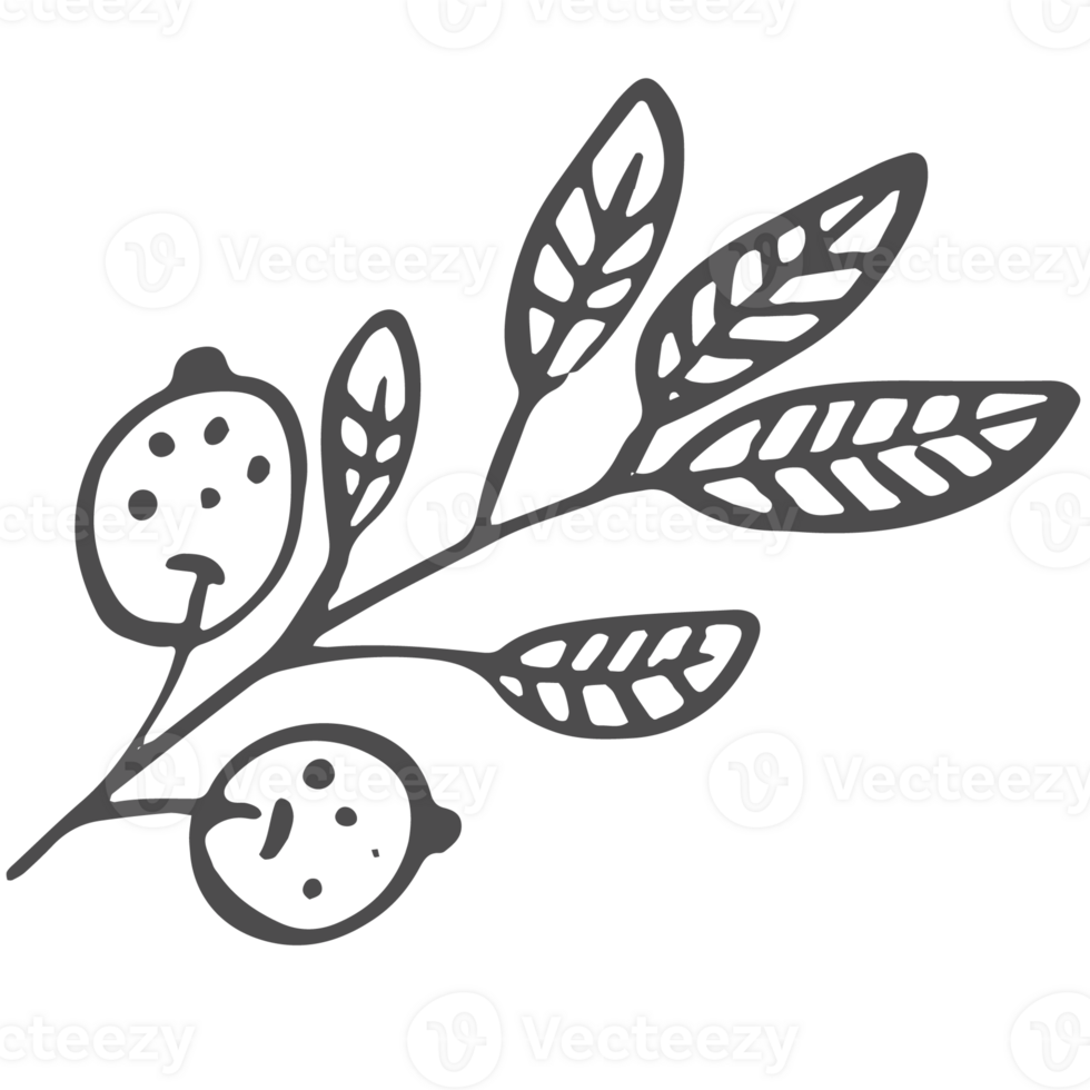 Sketched collection of woodland line png