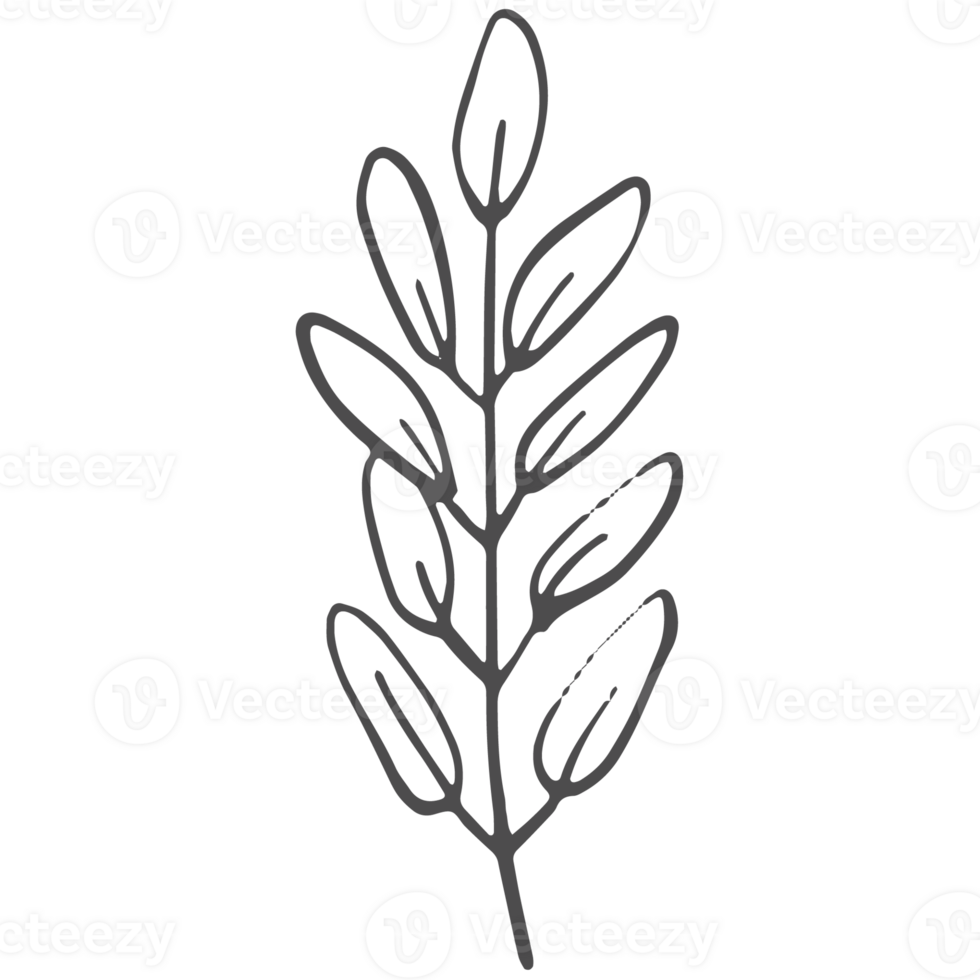 Sketched collection of woodland line png