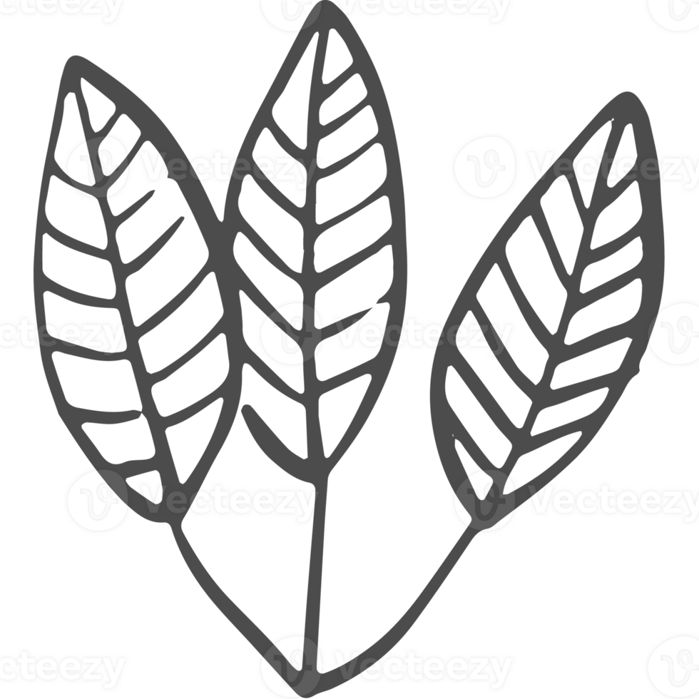 Sketched collection of woodland line png