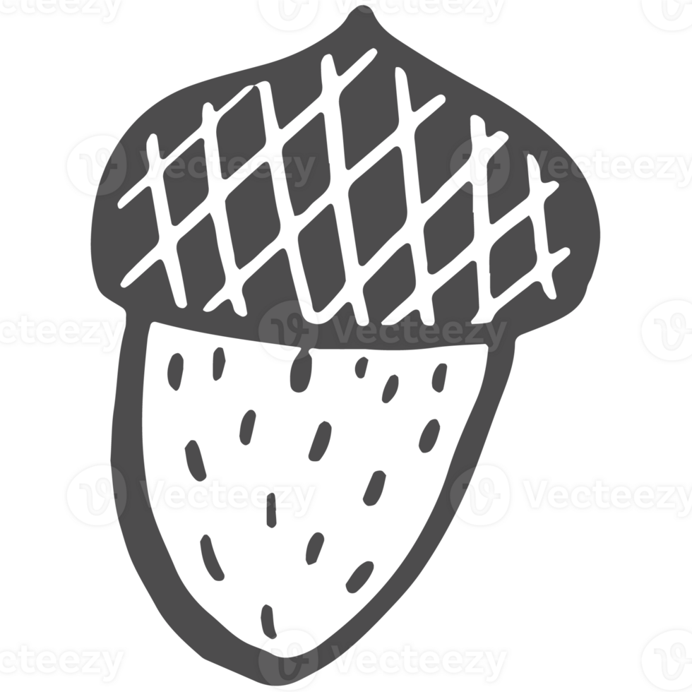 Sketche collection of woodland line png
