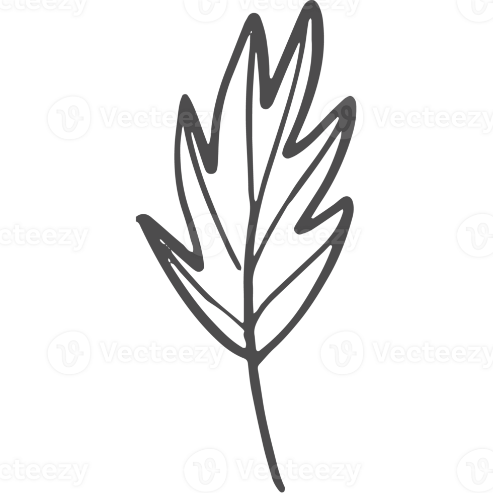 Sketche collection of woodland line png