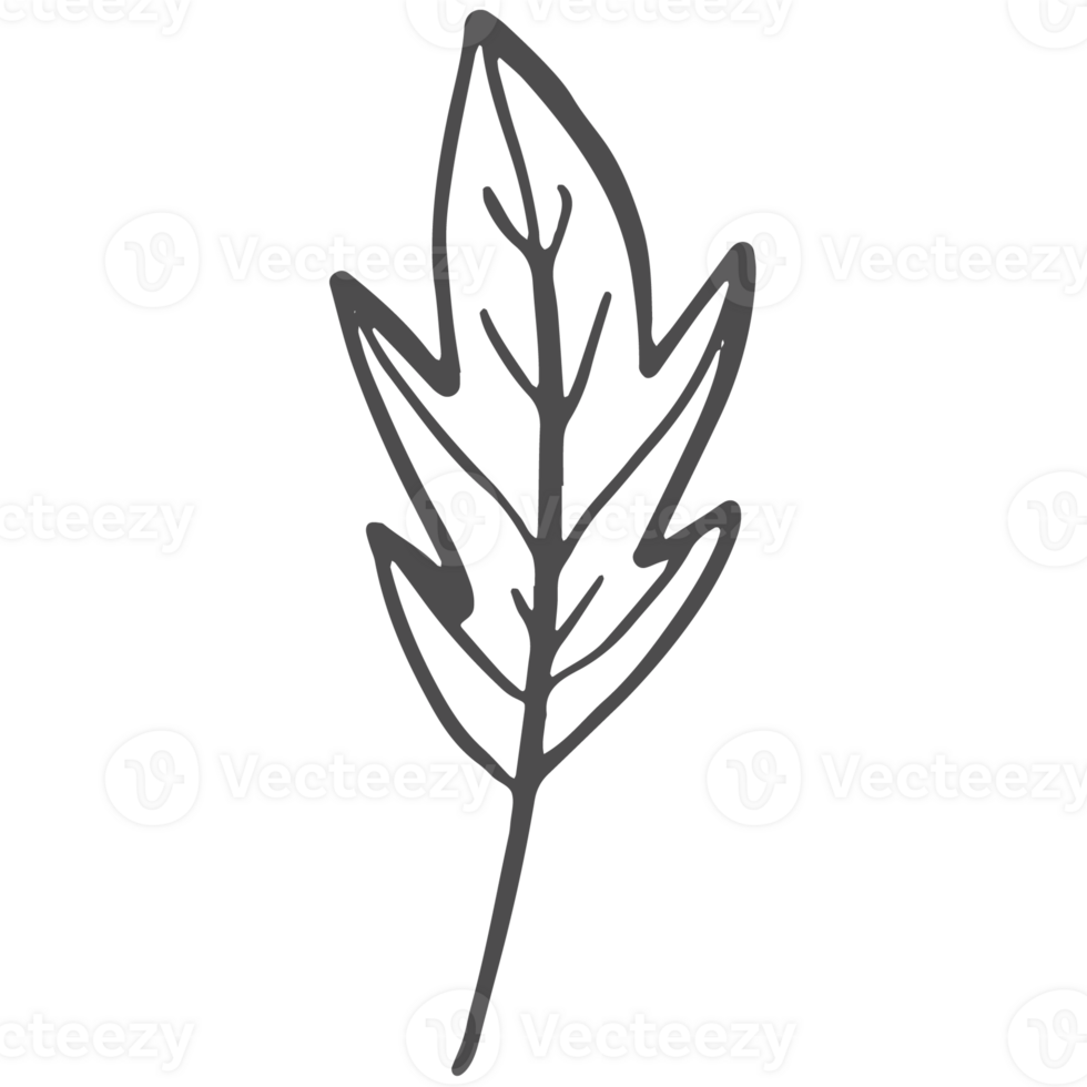 Sketche collection of woodland line png