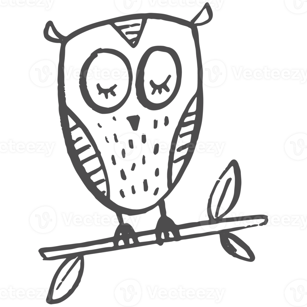Sketche collection of woodland line png