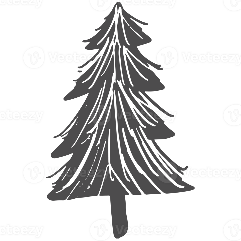 Sketche collection of woodland line png