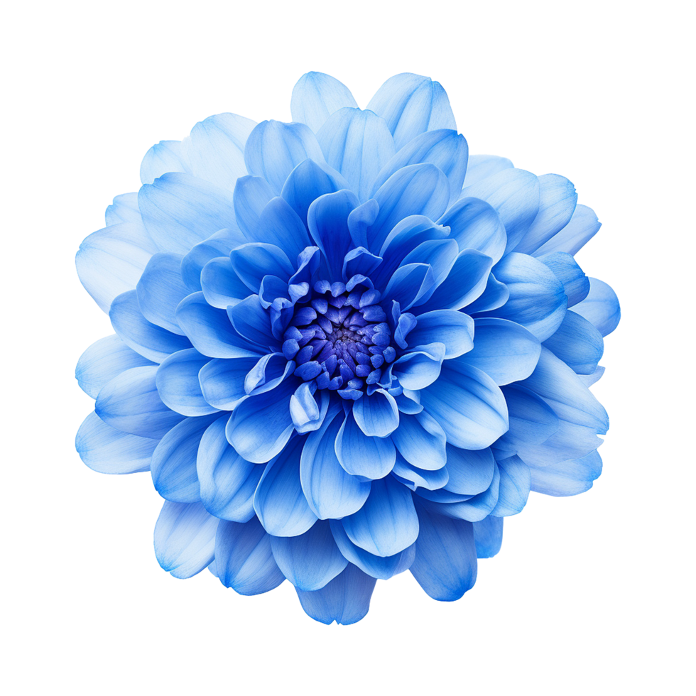 AI generated Blue flower isolated on Transparent background png