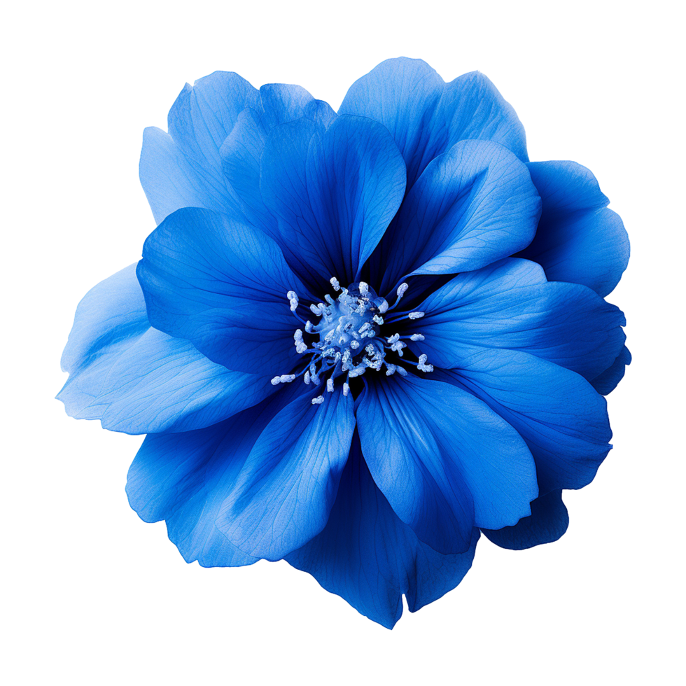 AI generated Blue flower isolated on Transparent background png