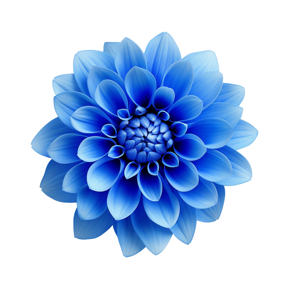 ai generado azul flor aislado en transparente antecedentes png