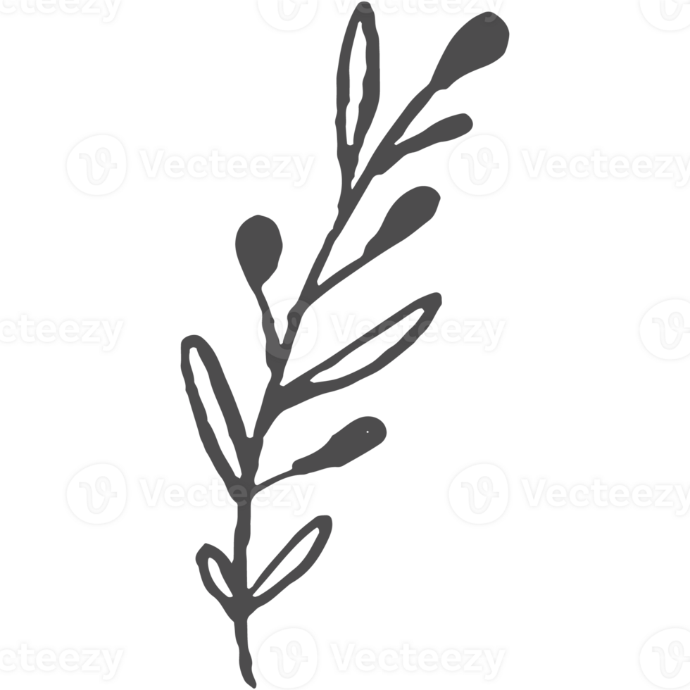 Sketche collection of woodland line. png