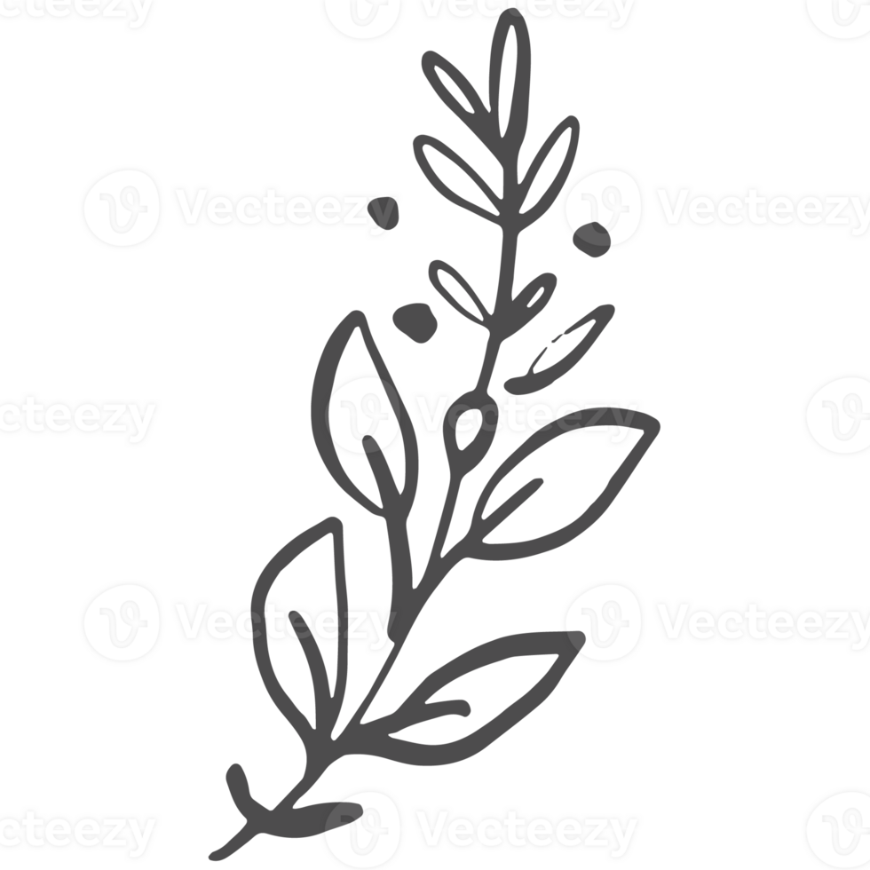Sketche collection of woodland line. png