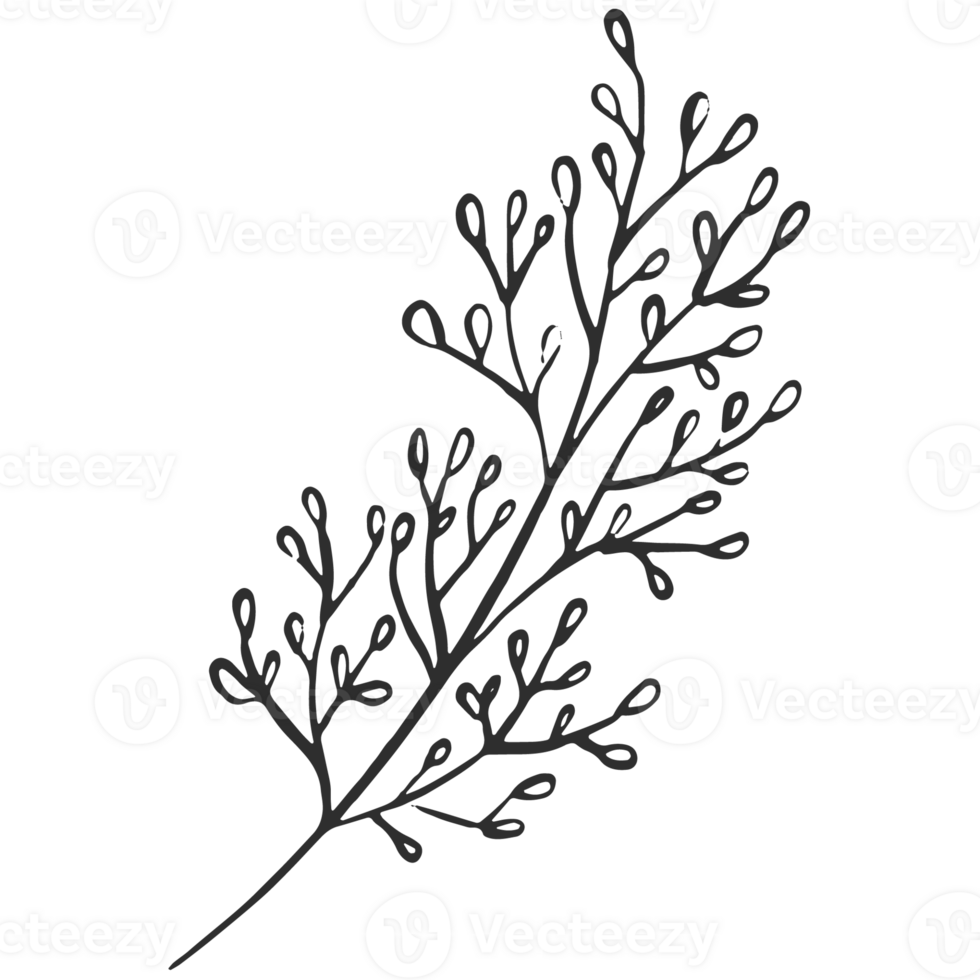 Sketche collection of woodland line. png