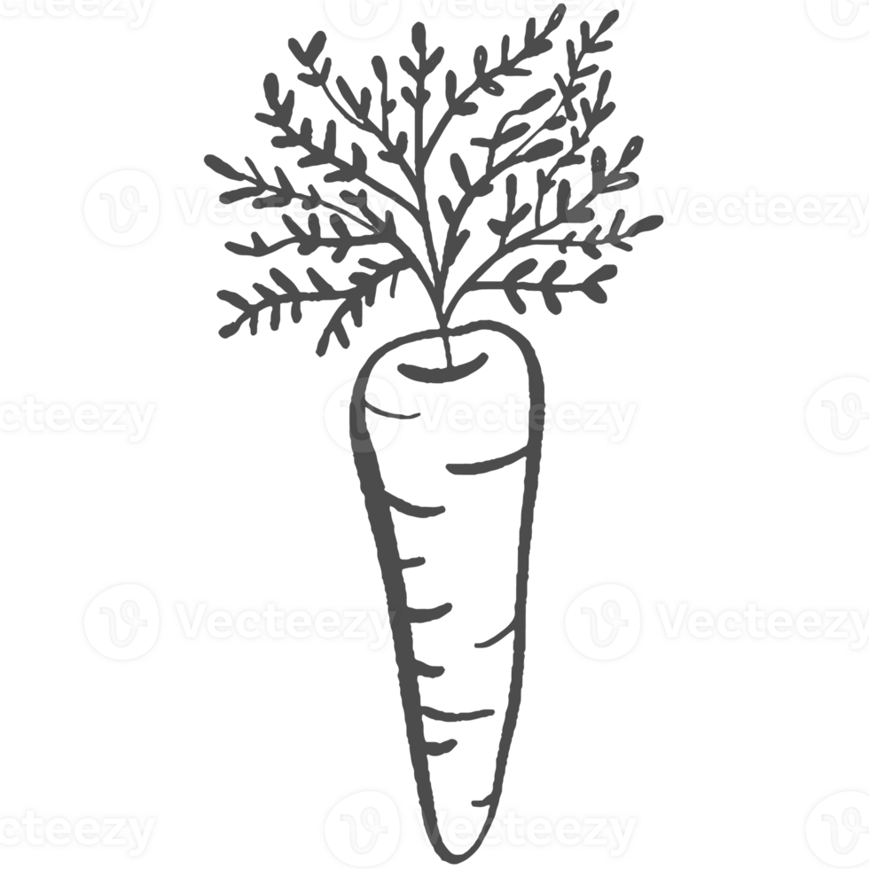 Sketche collection of woodland line. png