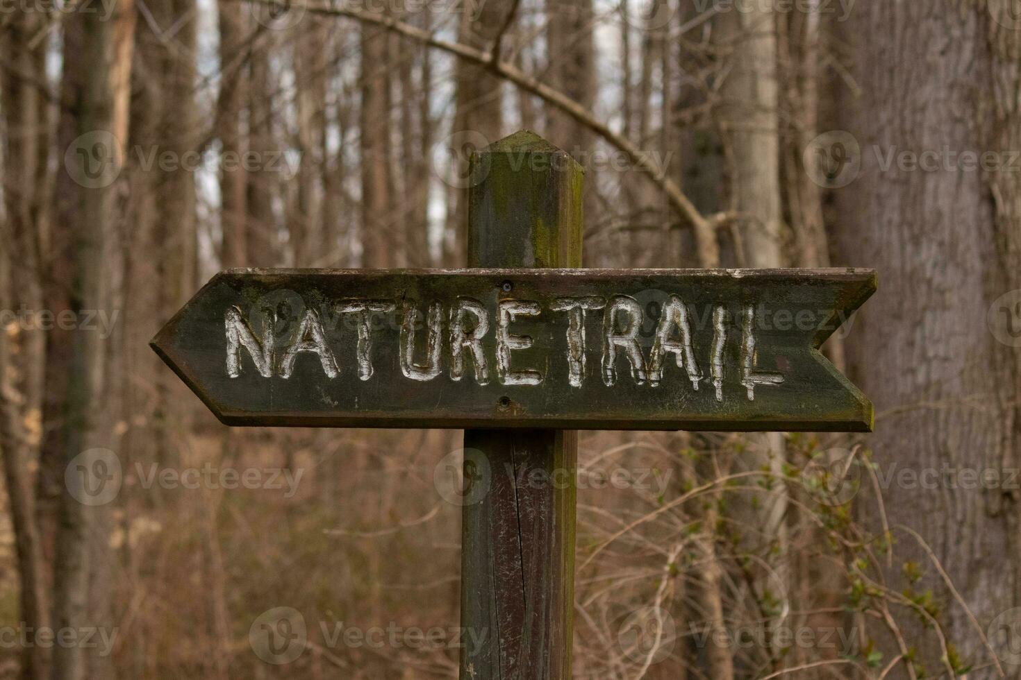 This sign in the woods marks the area of the trail. Helping to keep hikers from getting them lost and leading the way. The brown paint looks worn and chipping. The white letters standing out. photo