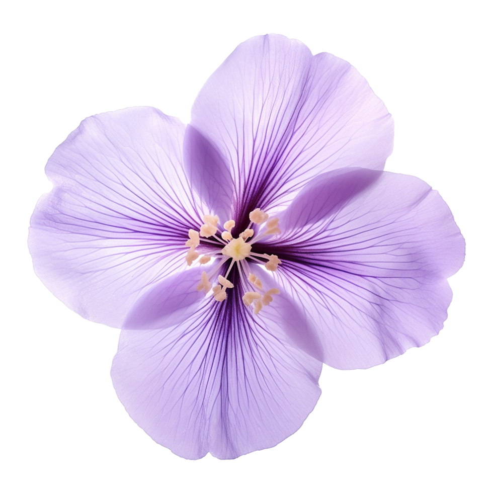 ai genererad violett blomma isolerat på transparent bakgrund png
