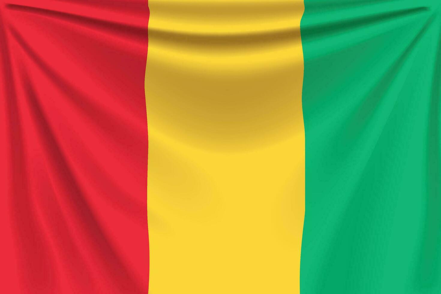 back flag guinea vector