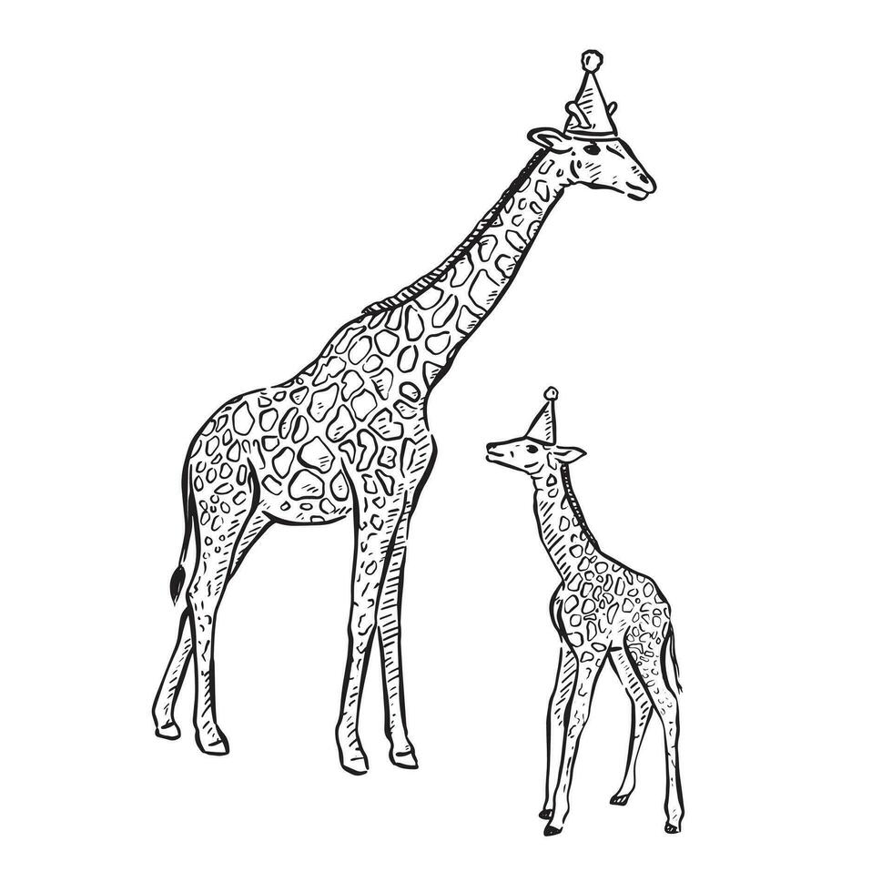 A line drawn illustration of an adult giraffe and baby giraffe. Both giraffes are wearing party hats. Perfect for DIY event stationery or kids birthday party invitations. vector