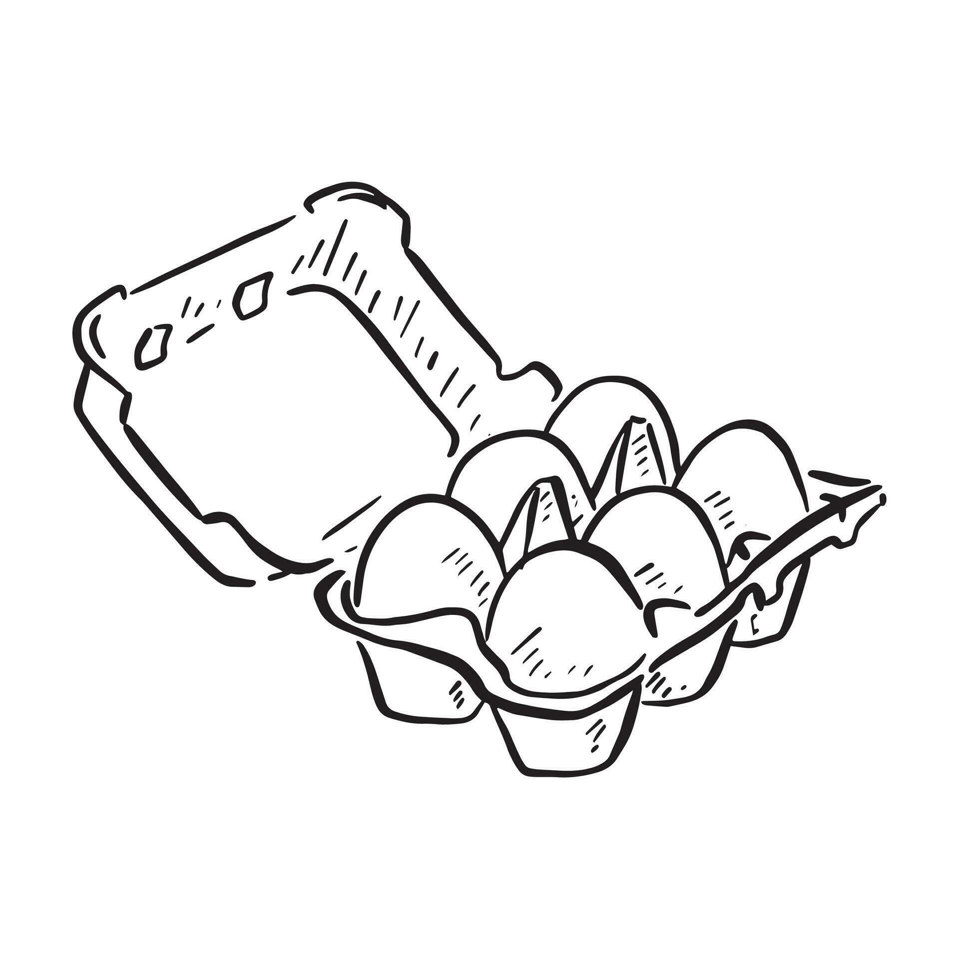 A line drawing of an egg box with a dozen eggs enclosed. A sketchy