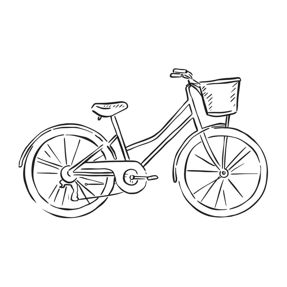 Hand drawn sketchy bicycle with a basket on the front. Inspired by French villages and travel. vector