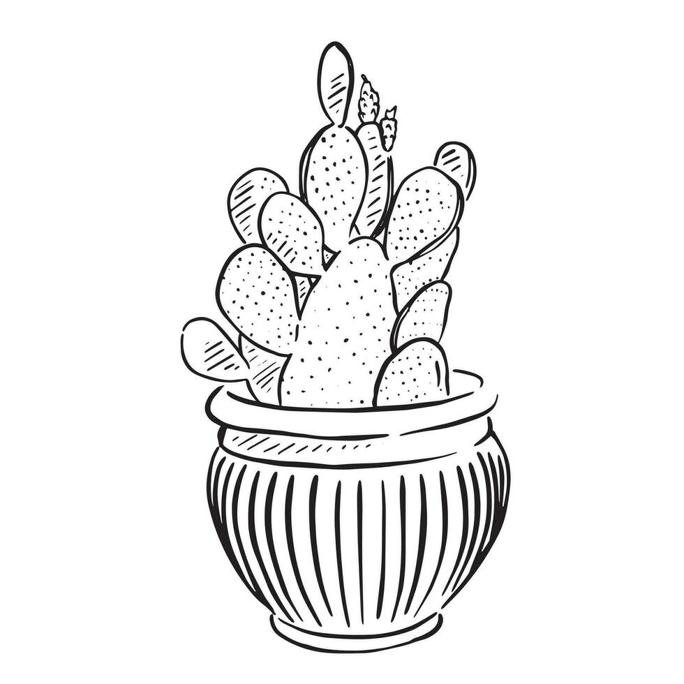 A simple line drawing of a cactus in a pot. vector