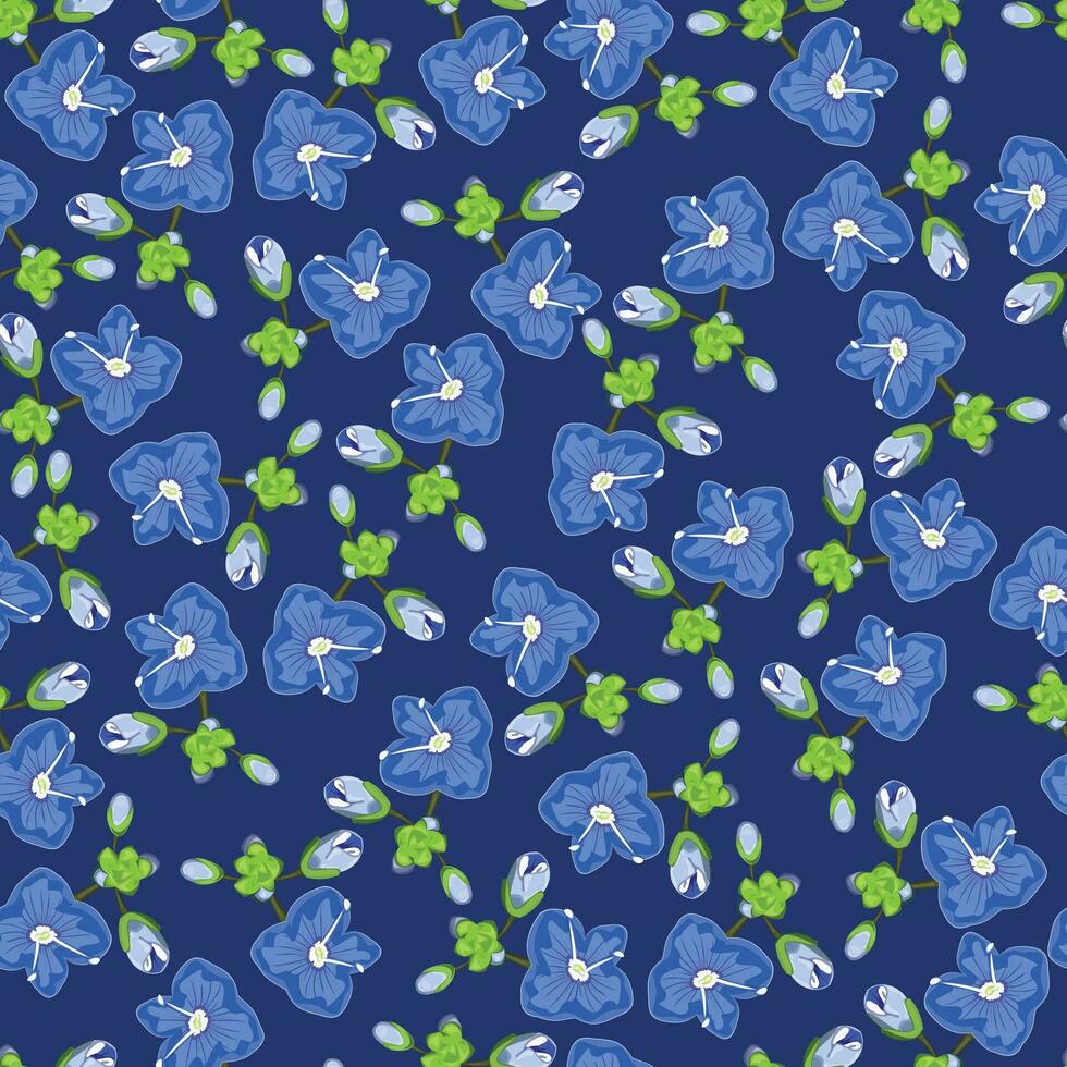 Seamless pattern with buds of blue forget-me-not flowers on a blue background vector