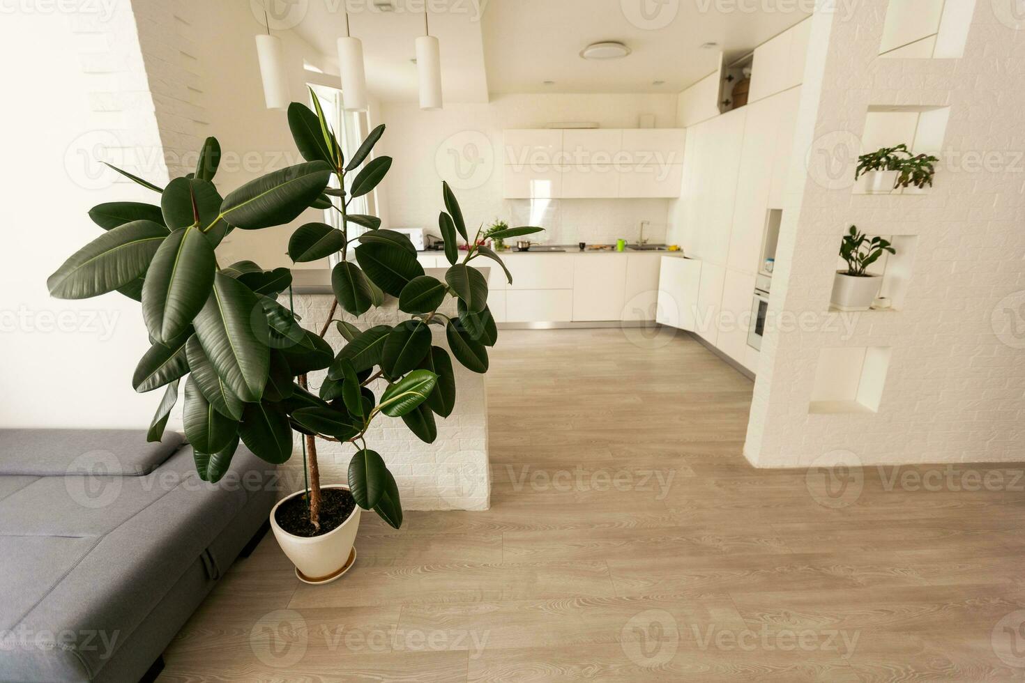 verde tropical plantas en ligero habitación. hogar decoración foto