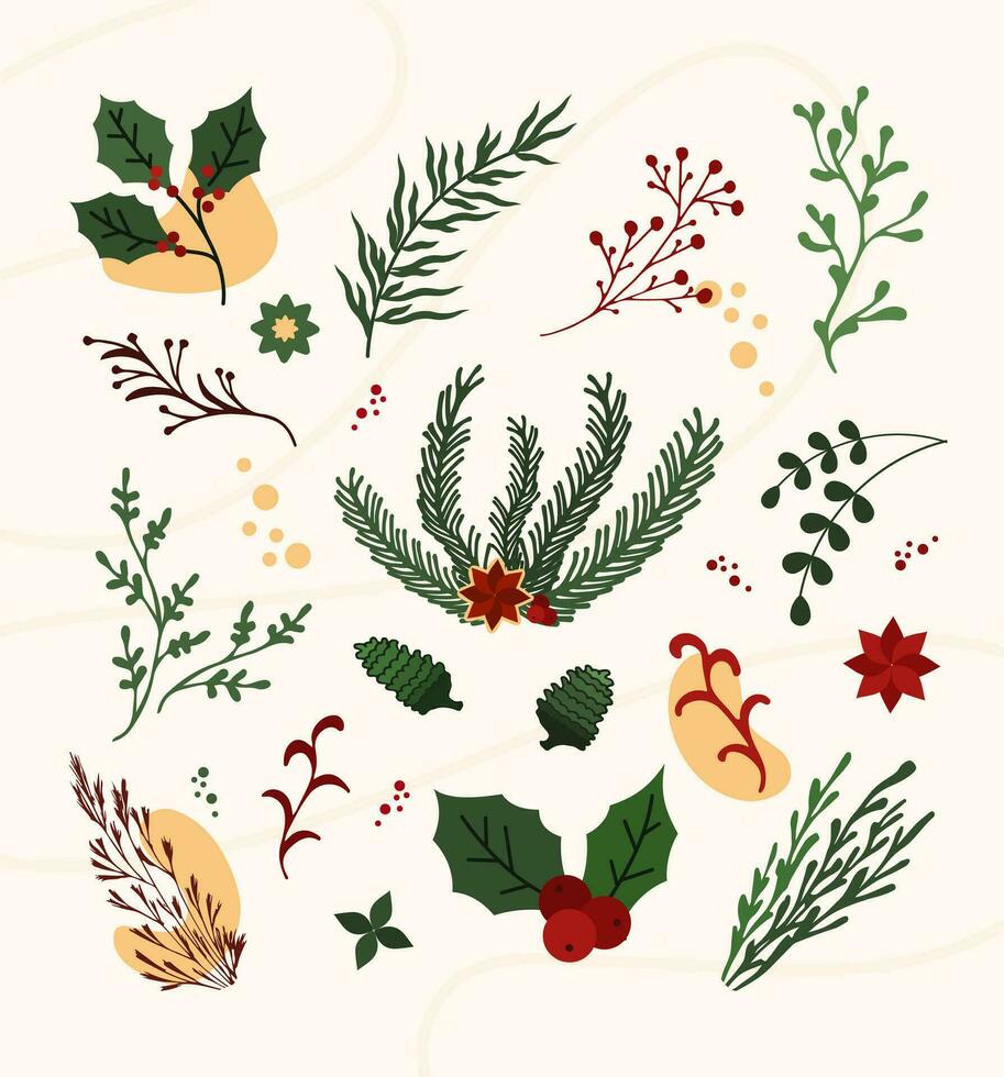 Hand draw Christmas plant ornaments leaf, flower, branches set. Doodle holly floral, branch elements vector