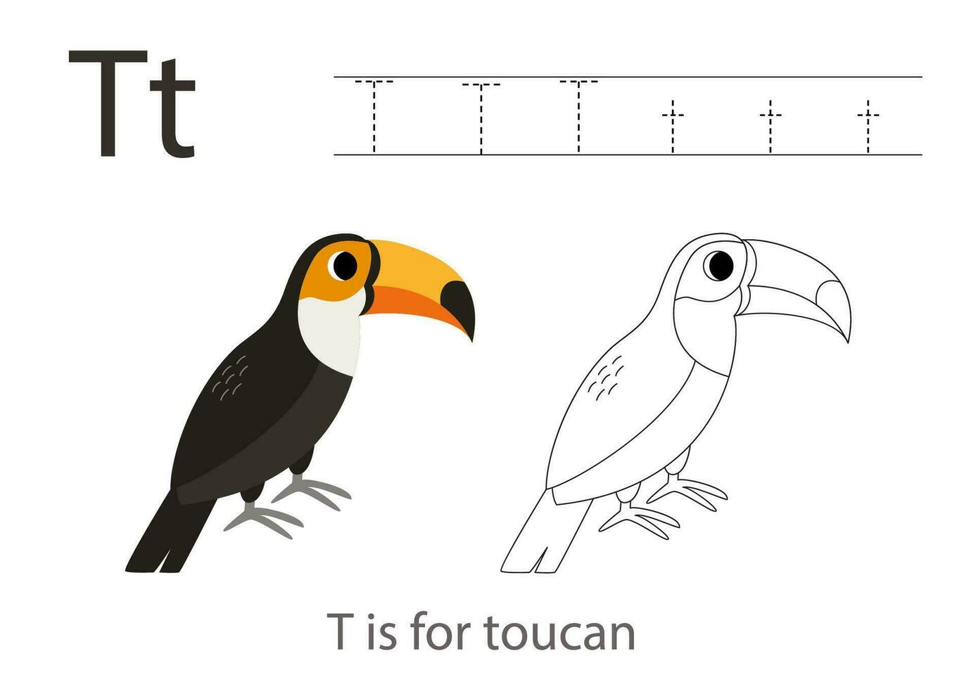 Tracing alphabet letters with cute animals. Color cute toucan. Trace letter T. vector