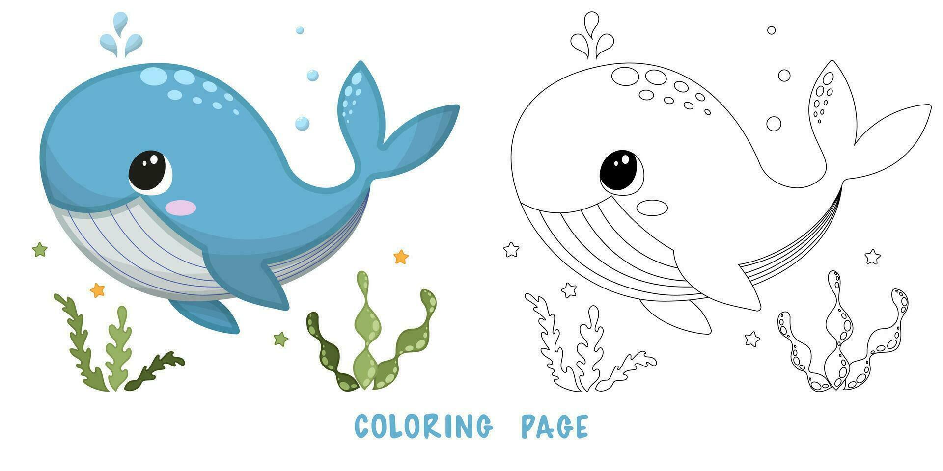 colorante página de ballena vector