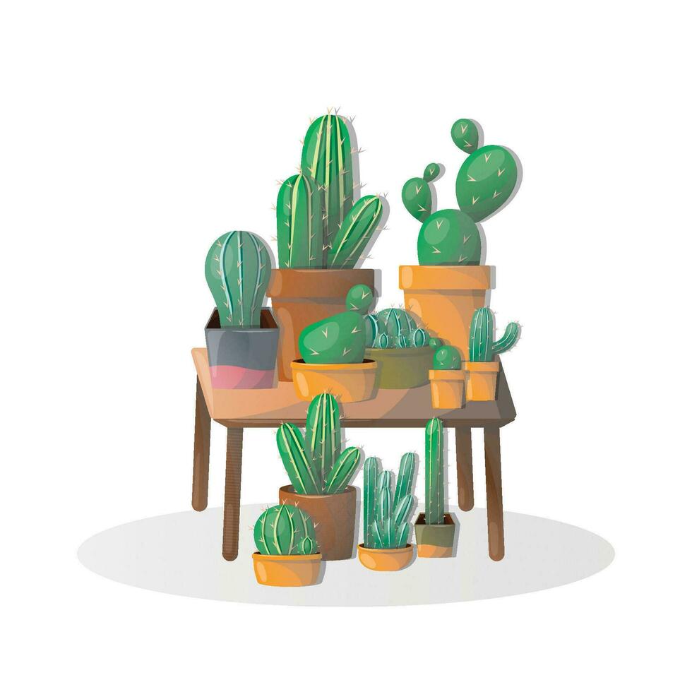 vector cactus decoration