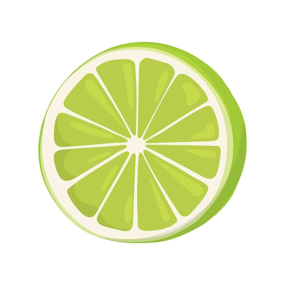 Lime wedge or round slice. Use in Asian cuisine as a seasoning. vector