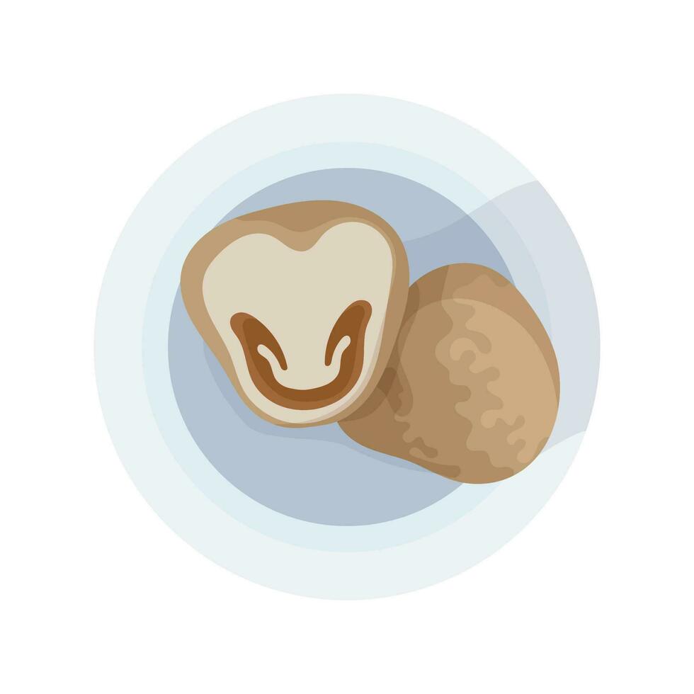 Straw mushrooms lie on a plate. Recipe icon for Thai and Asian cuisine. vector