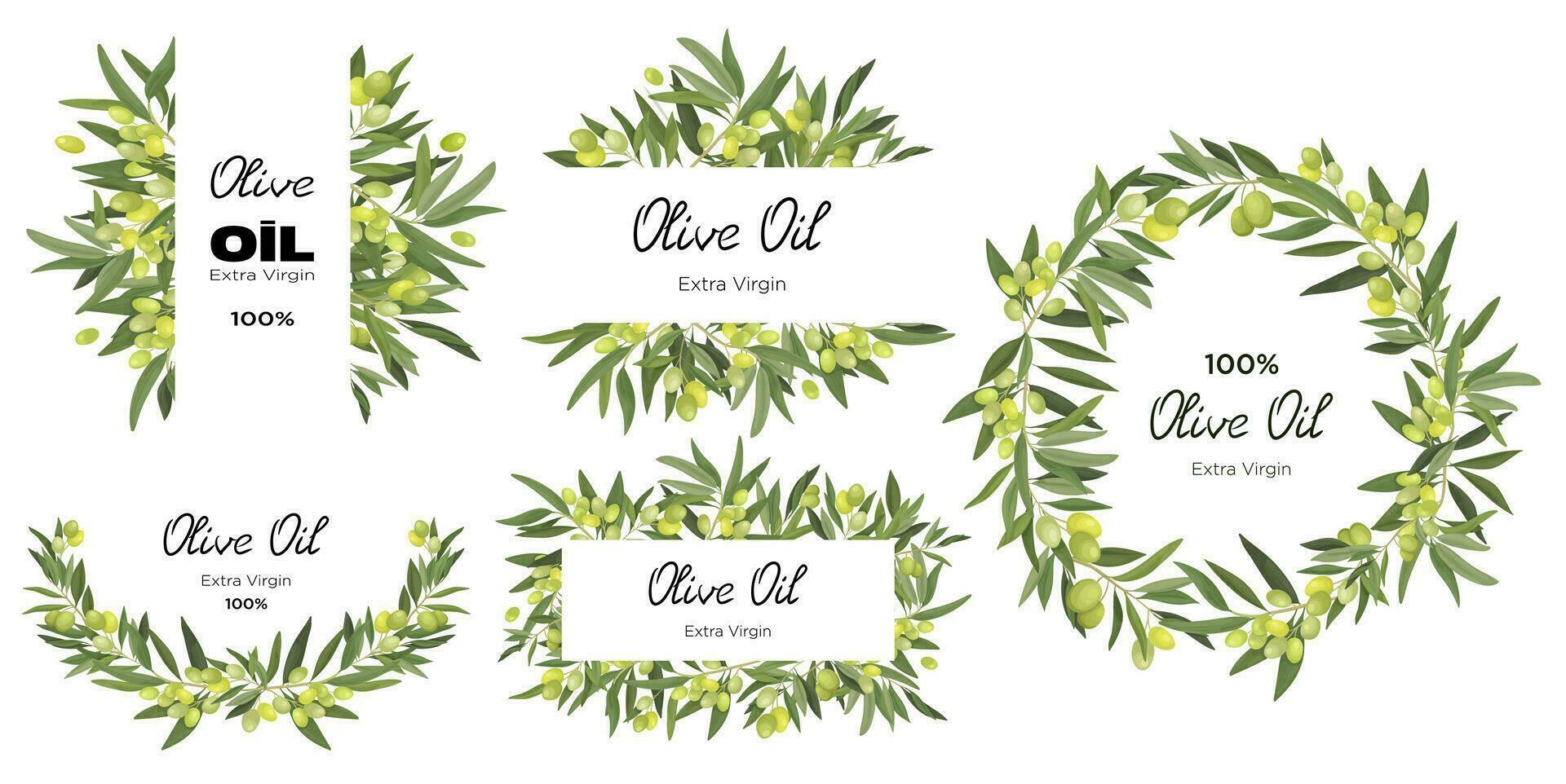 Vector illustration collection of frames from olive branches. Olive borders for cards, labels, banners and advertisements