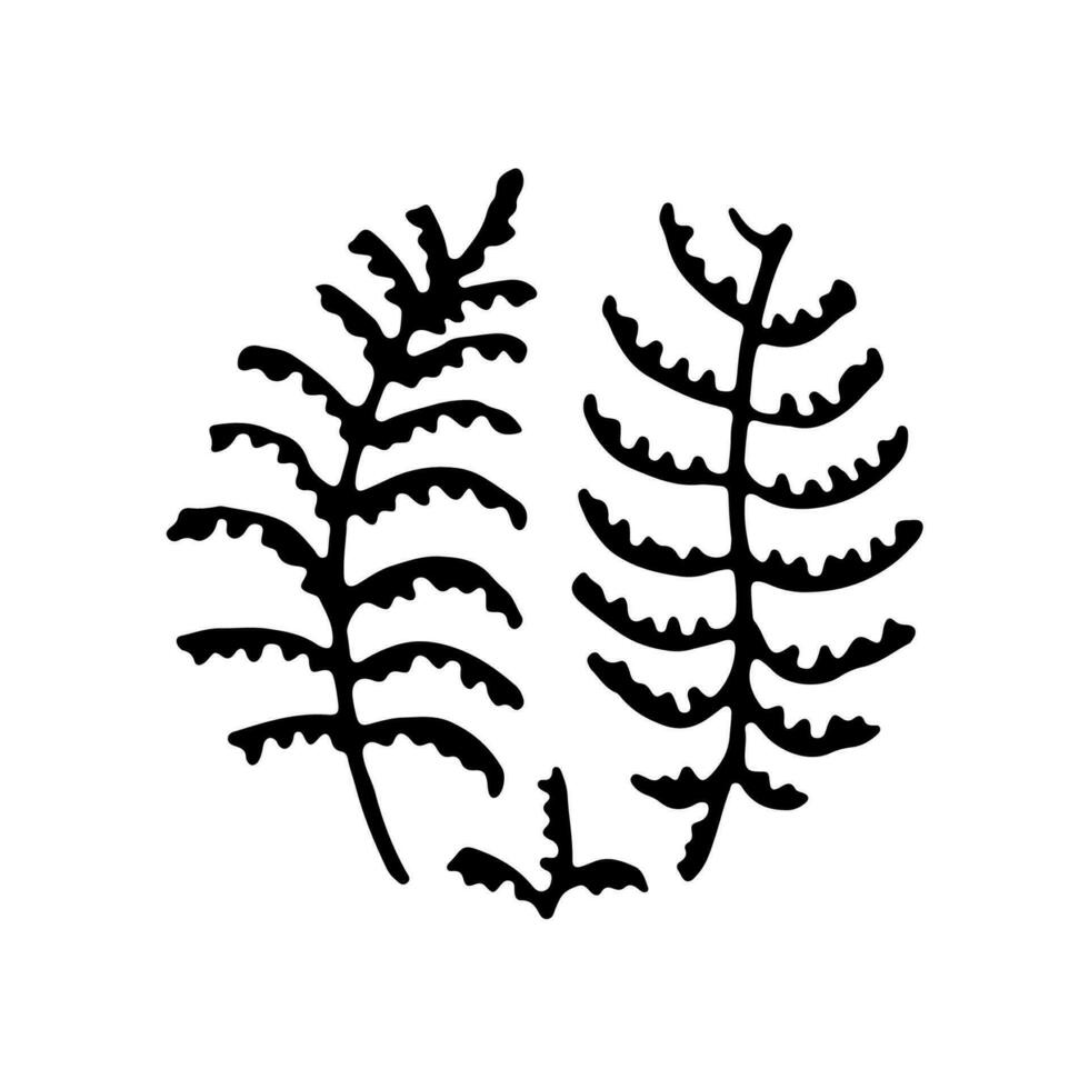 fern round abstract botanical texture. Hand-drawn texture in a circle. Vector