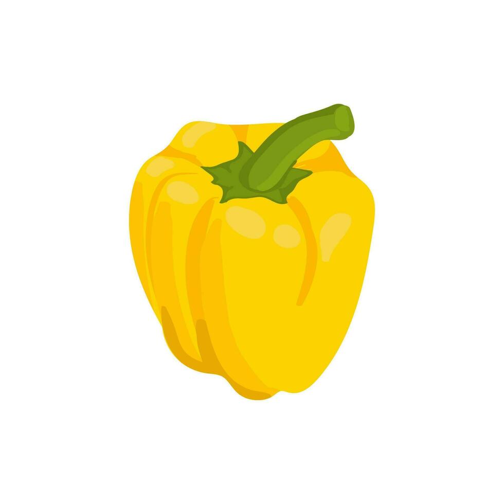 Vector illustration with juicy yellow sweet pepper. One vegetable isolated on a white background. Design packaging, farm products, ingredients.