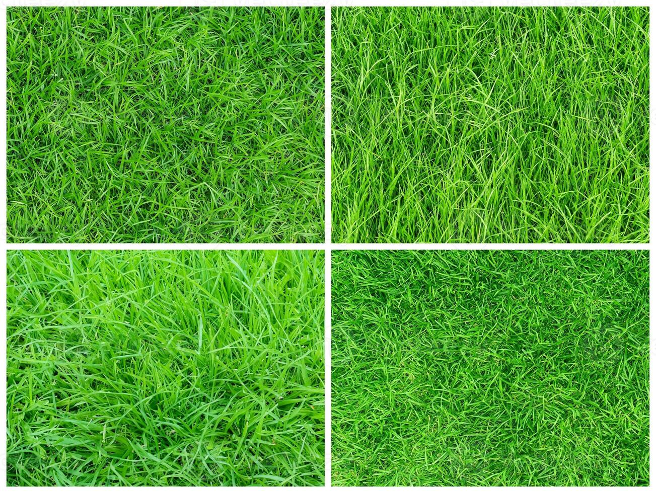 background from green grass texture pattern photo