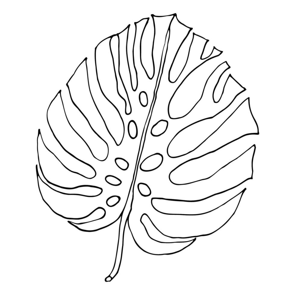 monstera contorno tropical hojas, verdor diseño elemento vector