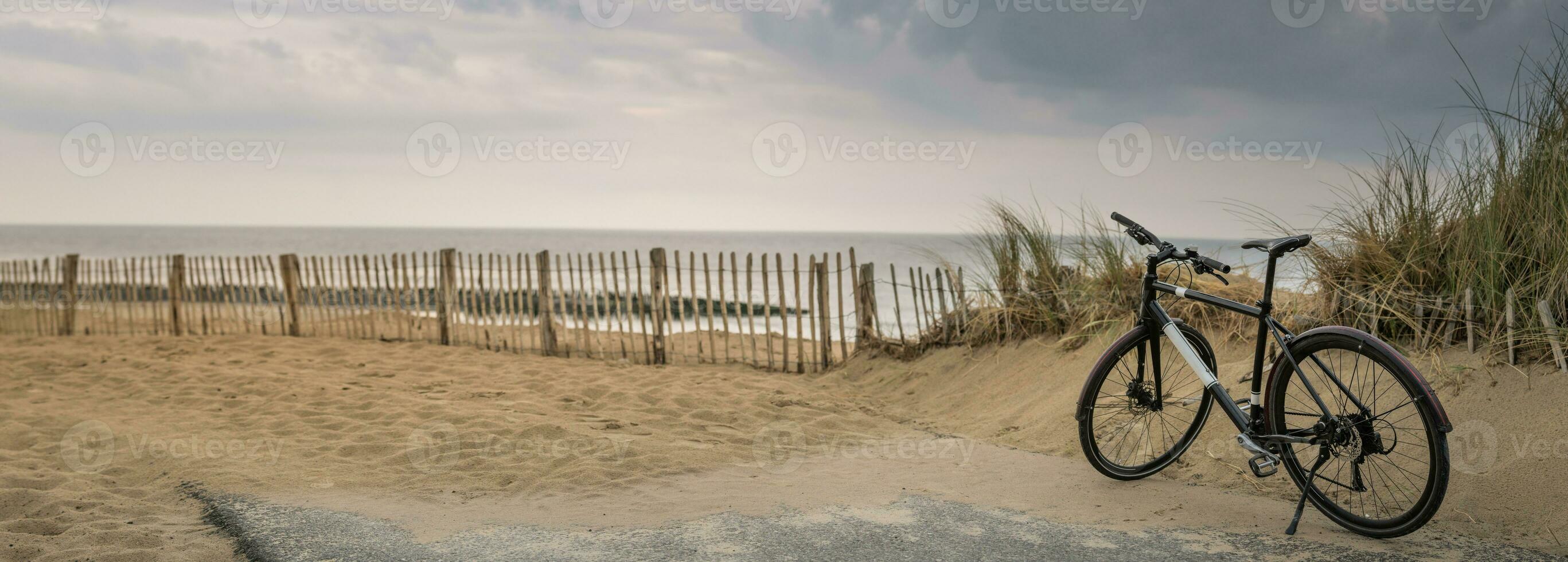 Panorama of beach with bicycle in Belgium photo