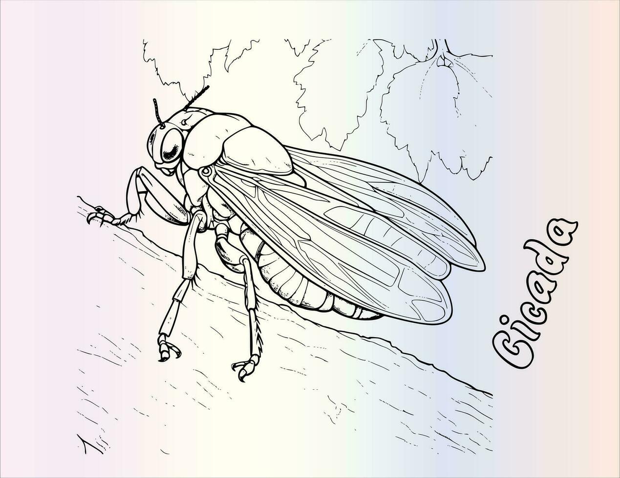 Cicada Coloring Page For Kids vector