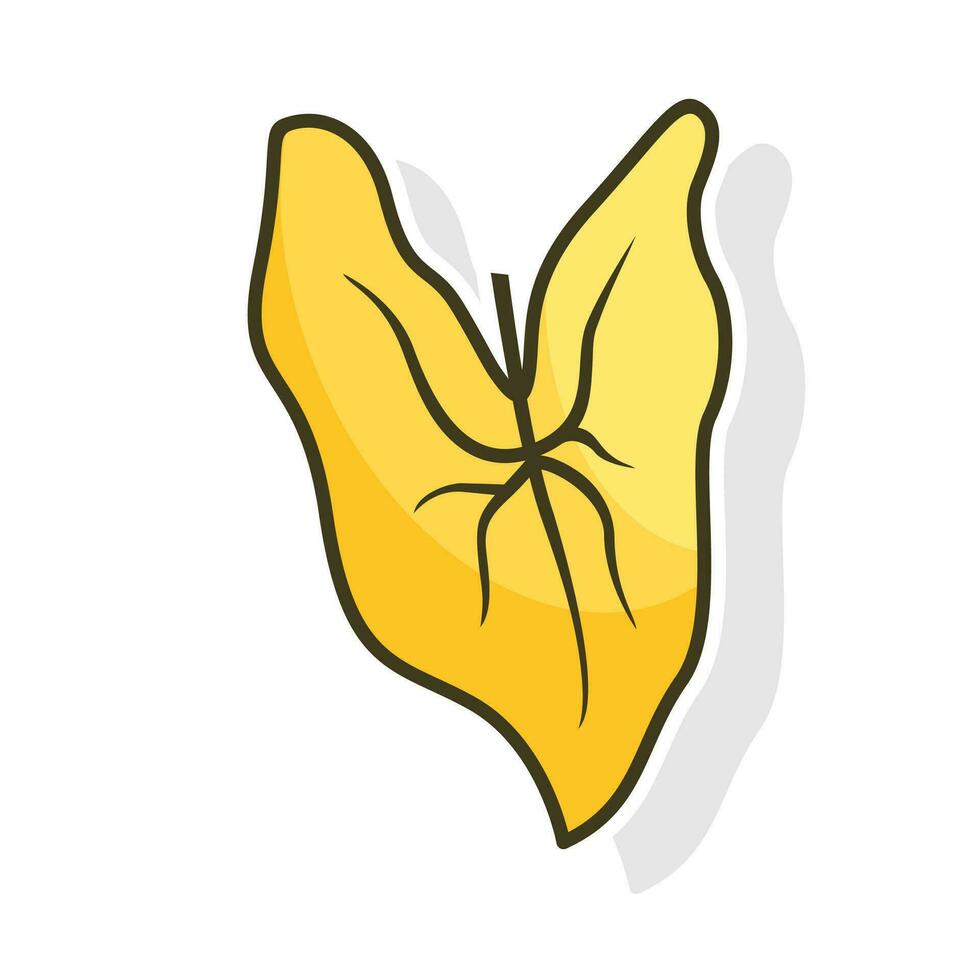 Minimalist Autumn Leaf isolated on a white background vector