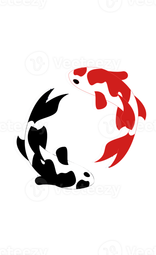 two koi fish on a transparent background png