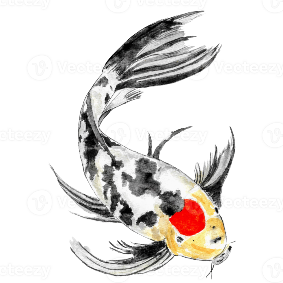 calmante acuarela koi pescado png