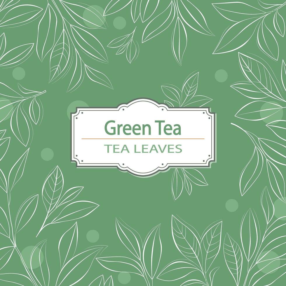 Hand drawn tea leaves background vector